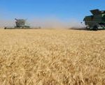 Sask. Farmers Embracing Locally Developed Ag Tech