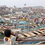 The Fishy Business Of A Chinese Factory In The Gambia