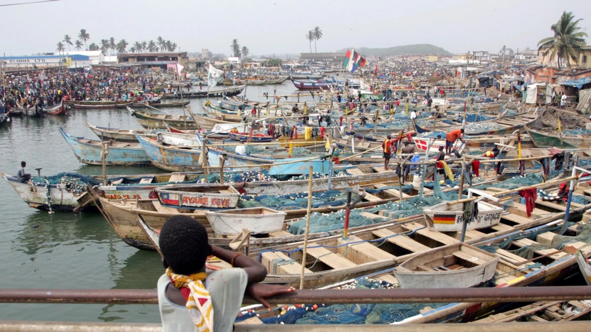 The Fishy Business Of A Chinese Factory In The Gambia