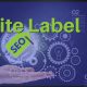 Best White-Label SEO companies