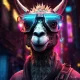How to install Llama 2 on AWS SageMaker using DLC