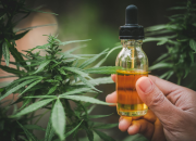 Cbd Capsules Vs. Tinctures: What’s The Difference?