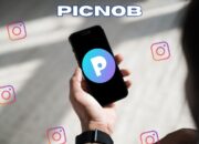 Picnob: Your Ultimate Instagram Viewer