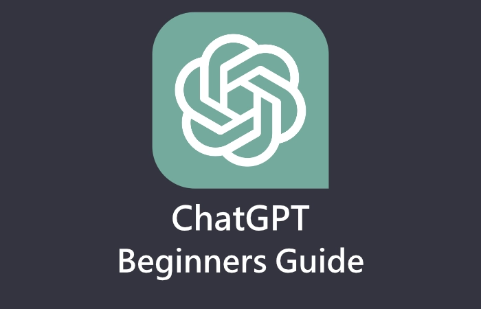 ChatGPT beginners guide
