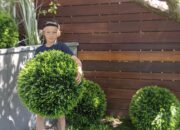 Choosing the Perfect Artificial Topiary Balls for Your Outdoor Oasis