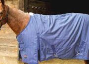 DISCOVER THE MOST POPULAR TYPES OF HORSE BLANKETS AND HOW TO CHOOSE THE RIGHT ONE