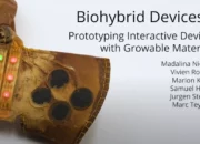 Growing Biohybrid interactive devices – Aboutworldnews