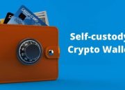 What are the Benefits of Self-Custody in Crypto?