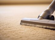 The Importance of Professional Carpet Cleaning in Toronto’s Climate