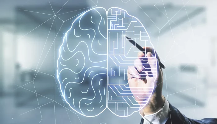 Why E-commerce Businesses Should Speak With A Consultant About AI Services