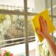 Crystal-Clear Windows: Pro Tips for a Streak-Free Shine (2023)