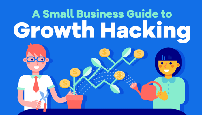 Growth Hacking for Small Businesses: Finance Edition