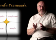 What Is the Cynefin Framework and Why Should You Care?