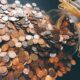 Top 10 Rare Coins That Could Be Hidden in Your Collection