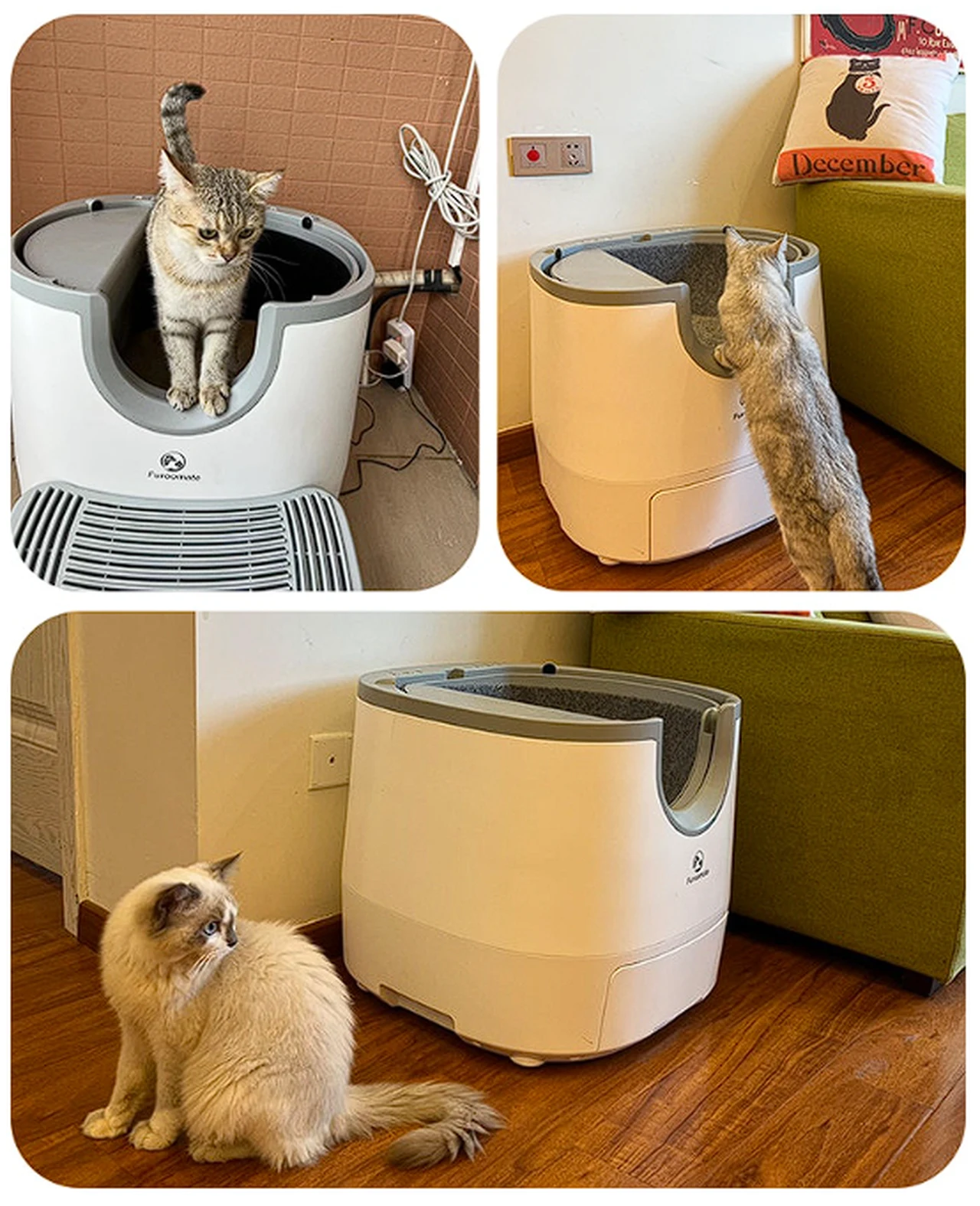 Furoomate cat litter box in action