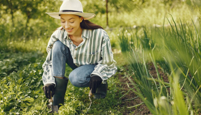 5 Underrated Types of Trees for Your Backyard