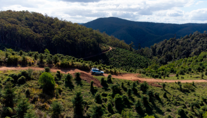 A Guide to Spending 5 Days in the Sunshine Coast Hinterland