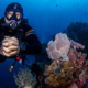 Exploring the Underwater Beauty of Tulamben through Scuba Diving