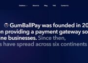 GumBallPay Review – Can Your Online Business Thrive by choosing this Company’s Payment Solutions?
