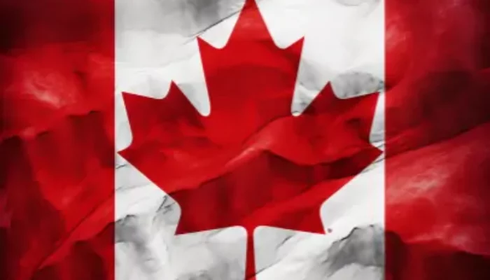 Master the Deuces Wild Strategy and Dominate Video Poker in Canada in 2024!