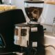 The Ultimate Guide to Choosing the Perfect Automatic Coffee Machine