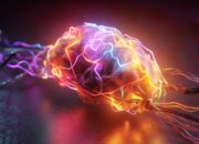 Mind uploading – transferring your consciousness into a computer
