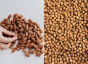 Hazelnuts vs. Other Nuts: The Ultimate Health Comparison