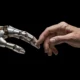 How foundation models are changing the world of AI