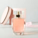 The Artistry and Innovation of Perfume Packaging and Bottle Design