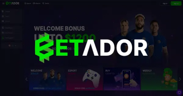 10 Best Crypto Casinos in 2024 (Games, Bonuses and Payouts)