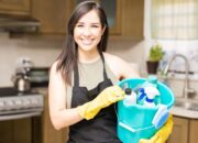 House Cleaners: Tricks to Having a Great Time with Them