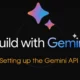 How to setup Google Gemini Pro API key and AI model
