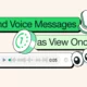 WhatsApp self destructing voice messages rolled outr