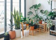 Exploring the World of Artificial Plants in Melbourne