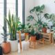 Exploring the World of Artificial Plants in Melbourne