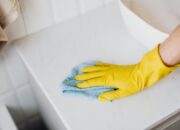A Guide To Tackle Mold Issues