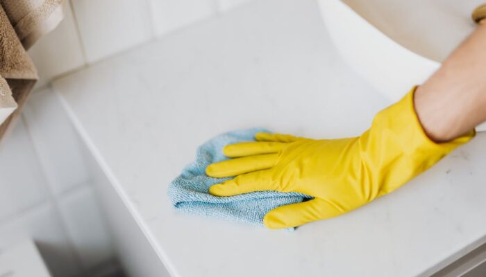 A Guide To Tackle Mold Issues