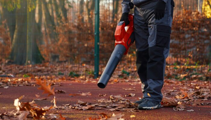 Choosing the Right Leaf Blower for Your Luxury Landscaping in Portola Valley Area