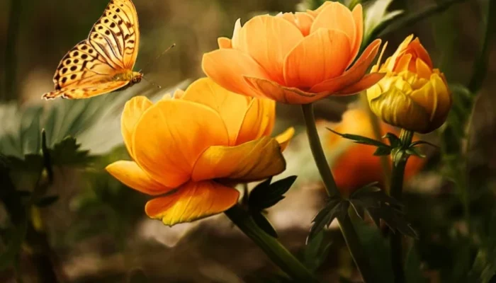 How to Pick the Right Valentine’s Day Flowers