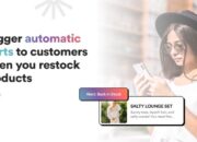 Shopify Apps – Boosts Sales of a New Product