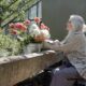 The Ultimate Guide To Aging In Place And It’s Various Aspects