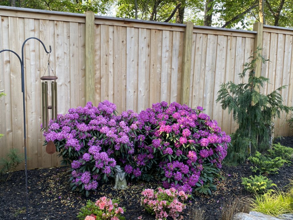 Wooden Fences: Stylish Solutions for Reliable Enclosures