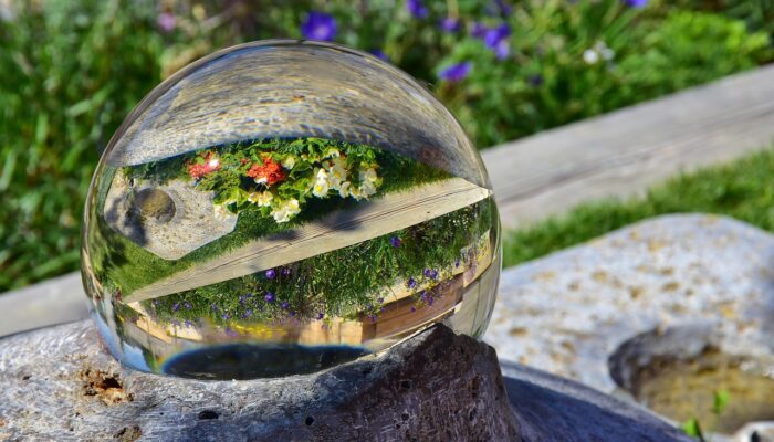 The Power of Glass in Impactful Garden Design