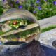 The Power of Glass in Impactful Garden Design