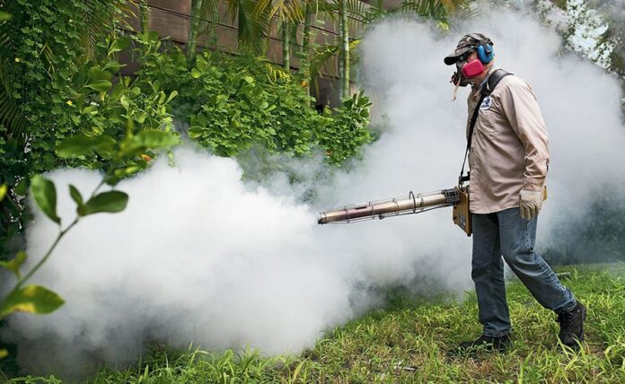 Smoke against mosquitoes