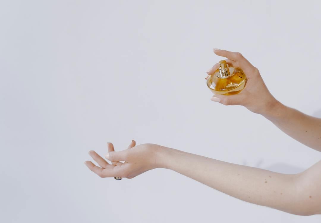 A Journey of Scent Exploration
