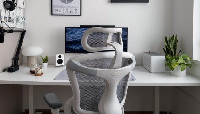 Sihoo Doro C300 Ergonomic Office Chair: A $300 Game-Changer